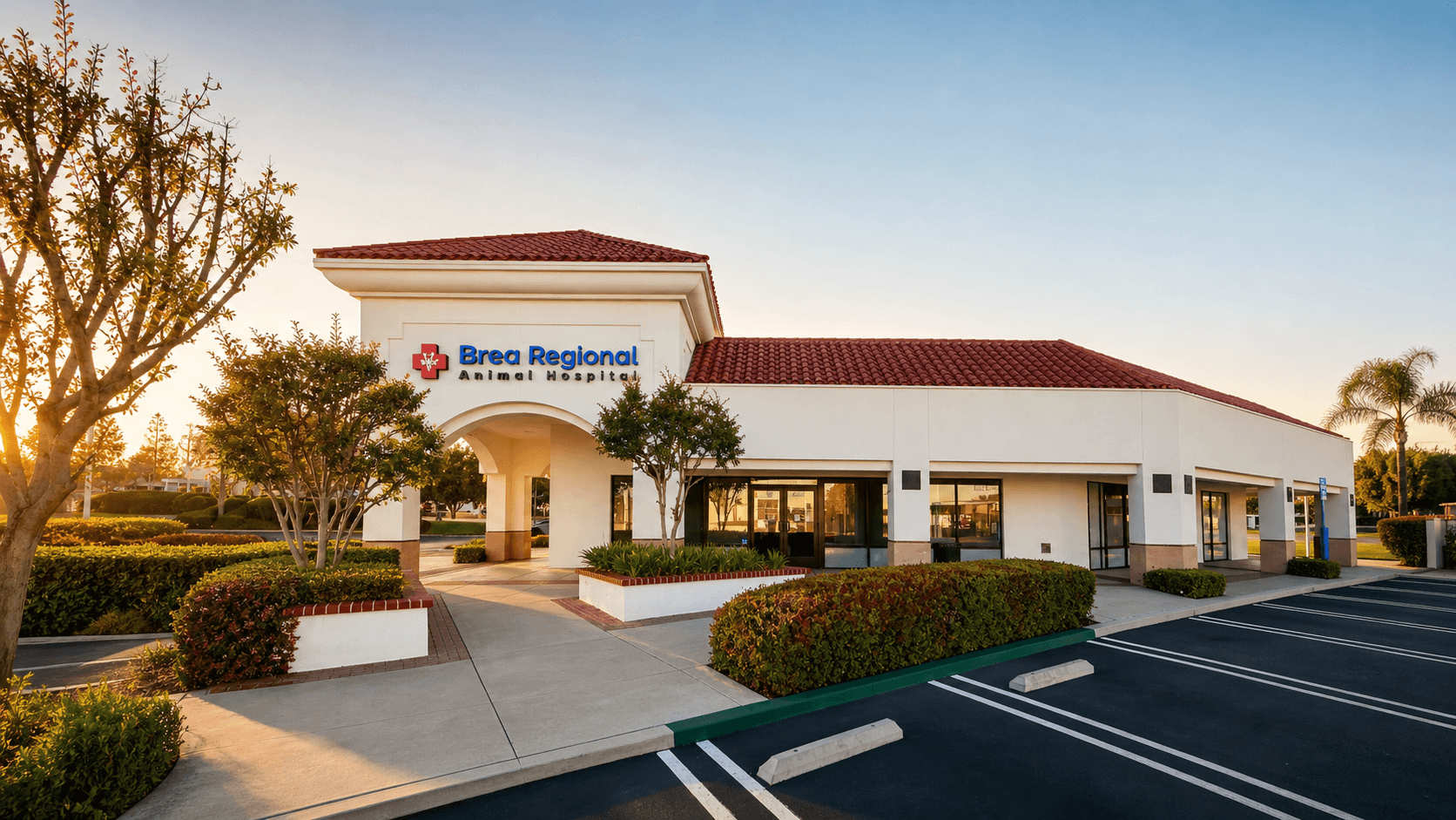 Brea Regional veterinary team
